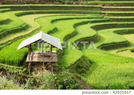 View of rice field terraced and river 42025857