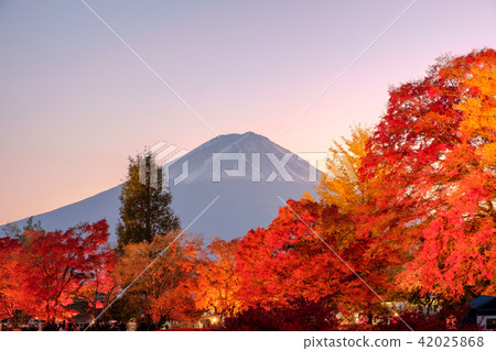 View of rice field terraced and river 42025868