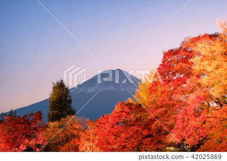 View of rice field terraced and river View of rice field terraced and river 42025869