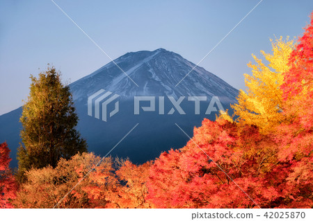 View of rice field terraced and river View of rice field terraced and river 42025870