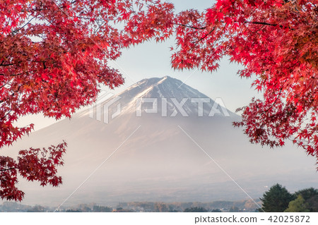 View of rice field terraced and river View of rice field terraced and river 42025872
