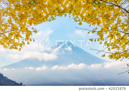 View of rice field terraced and river View of rice field terraced and river 42025876