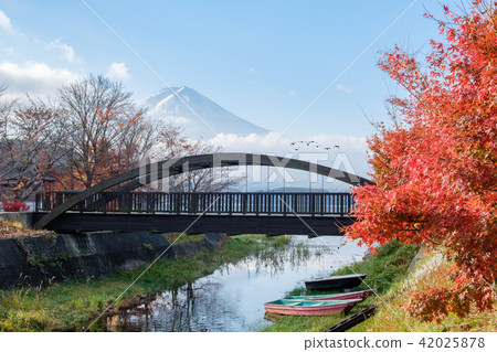 View of rice field terraced and river View of rice field terraced and river 42025878
