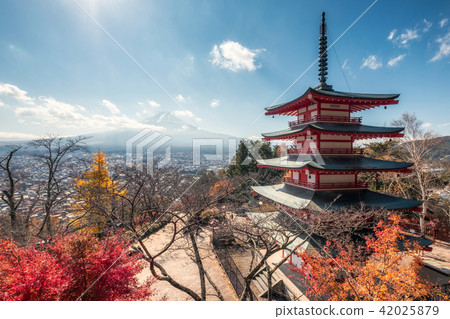 View of rice field terraced and river View of rice field terraced and river 42025879