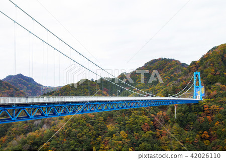 秋天Ryujin大懸索橋 42026110