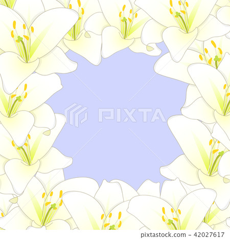 White Lily Flower Border on Purple Background 42027617