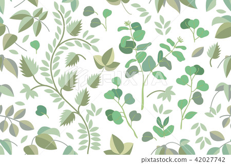 Garden leaves eucalyptus branches. Garden leaves eucalyptus branches. 42027742