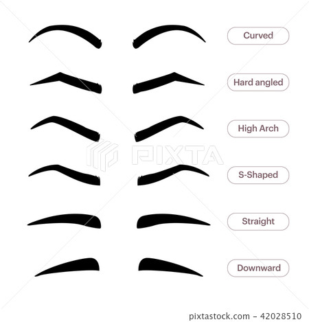 Eyebrow shapes. Various types of eyebrows. Classic type and other. Trimming. Vector illustration 42028510