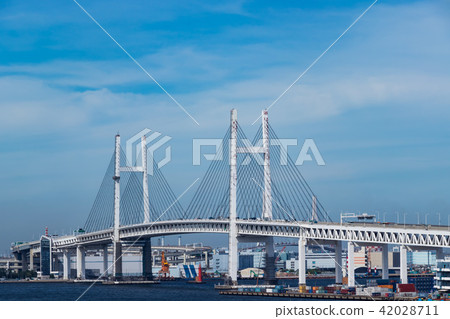 (Kanagawa - Urban landscape) Yokohama Bay Bridge 5 42028711