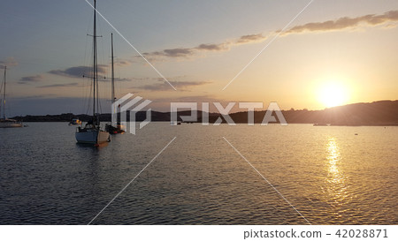 Sailboat harbor with many beautiful moored sail yachts in the sea port 42028871