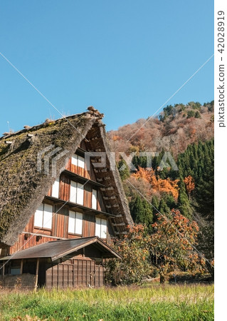 Shirakawago在秋天 Shirakawago在秋天 42028919