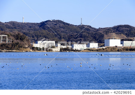 Early summer of Owada Bay 42029691