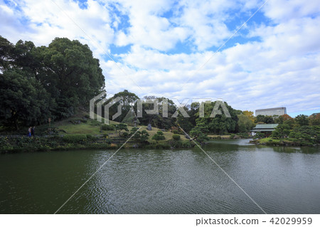 Garden landscape (Tokyo, Kiyosumi garden, autumn) 42029959