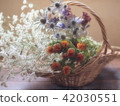 與籃子的干燥花 42030551