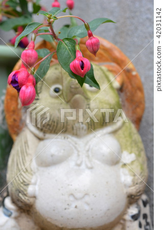 Fuchsia and an ornament of a raccoon Fuchsia and an ornament of a raccoon 42031142