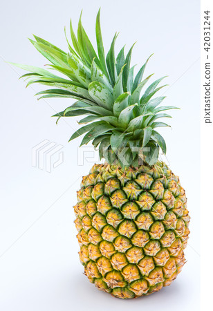 Feng pear pineapple pineapple 42031244
