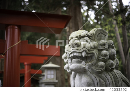 鳥居和獅子 42033292