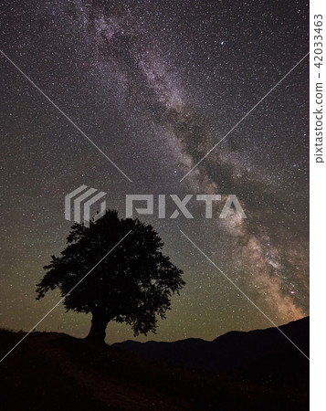 Lonely high tree under starry night sky and Milky way Lonely high tree under starry night sky and Milky way 42033463
