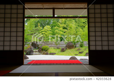 和平與和平6 和平與和平6 42033628