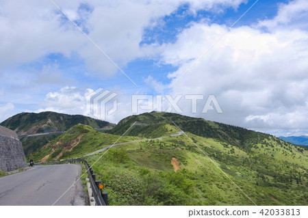 Shiga Kusatsu Road in summer 42033813