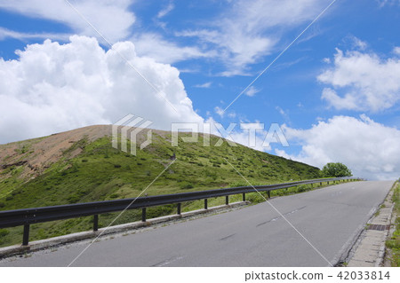 Shiga Kusatsu Road in summer 42033814