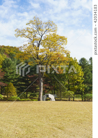 Hansol Oak Valley Country Club Hansol Oak Valley Country Club 42034183
