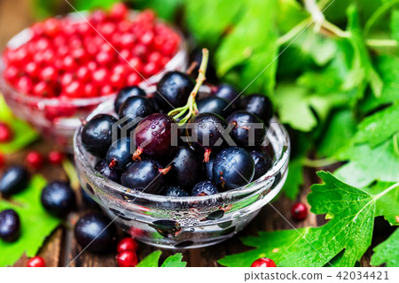 Ripe redcurrant and blackcurrant in glass bowls Ripe redcurrant and blackcurrant in glass bowls 42034421