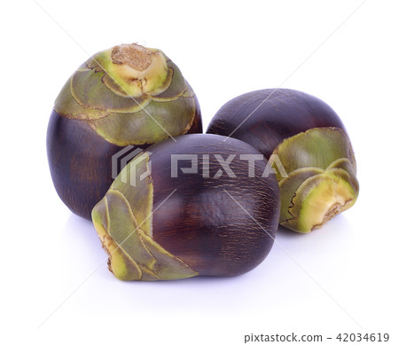 Asian Palmyra palm, Sugar palm and Cambodian palm Asian Palmyra palm, Sugar palm and Cambodian palm 42034619