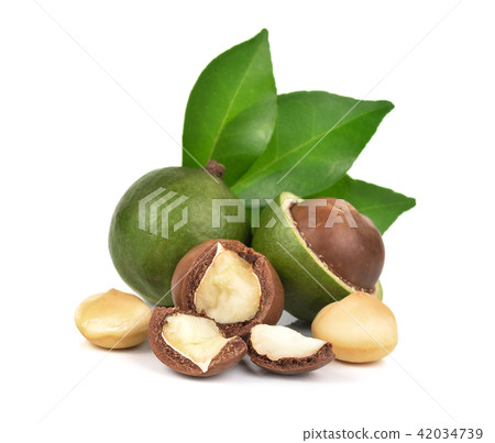 macadamia nuts on white background macadamia nuts on white background 42034739