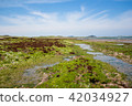 Jeju Island scenery 42034927