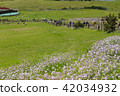 Shigeki Koji 42034932