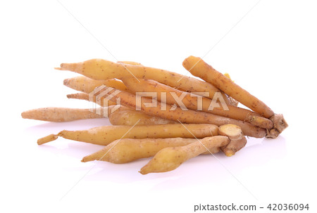 Fingerroot,  Boesenbergia on white background 42036094