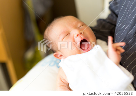 Newborn 42036558