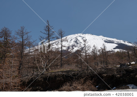 富士山（山梨縣）剩下的積雪 42038001