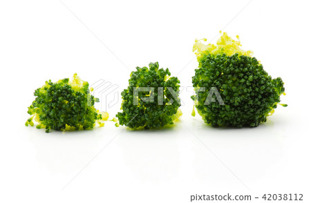 Broccoli isolated on white Broccoli isolated on white 42038112