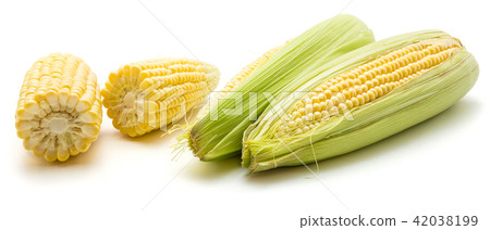 Fresh corn isolated on white 42038199