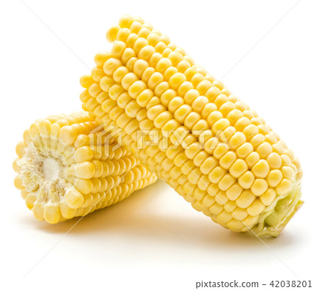 Fresh corn isolated on white 42038201