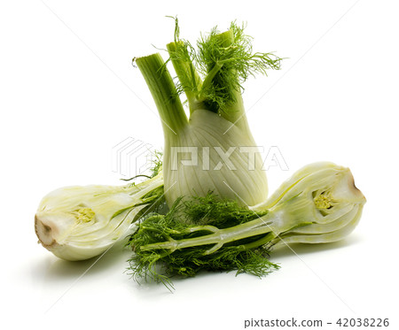 Fresh fennel isolated on white 42038226