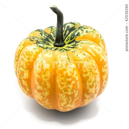 Green pumpkin isolated on white Green pumpkin isolated on white 42038260