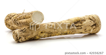 Fresh horseradish isolated on white Fresh horseradish isolated on white 42038267