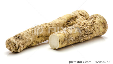 Fresh horseradish isolated on white Fresh horseradish isolated on white 42038268