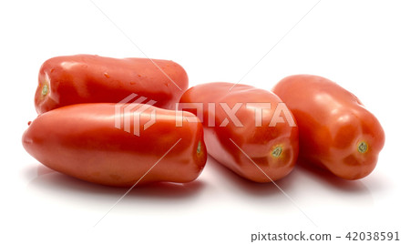 Fresh san marzano tomato isolated on white Fresh san marzano tomato isolated on white 42038591
