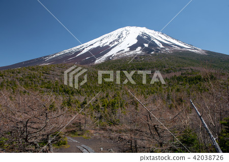 Okuwa Okuwa自然公園·富士山(山梨縣) Okuwa Okuwa自然公園·富士山(山梨縣) 42038726