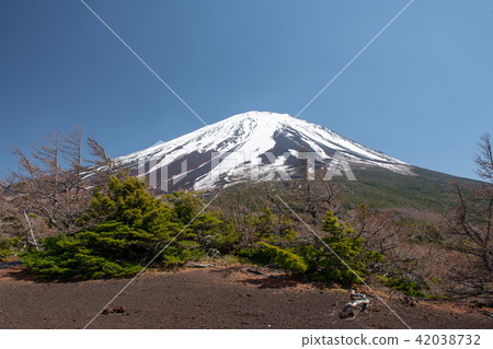 Spring of Okuwa · Oku garden nature park of Mt. Fuji (Yamanashi Prefecture) 42038732