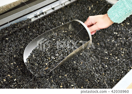 Buyer with scoop takes sunflower seeds in shell 42038960
