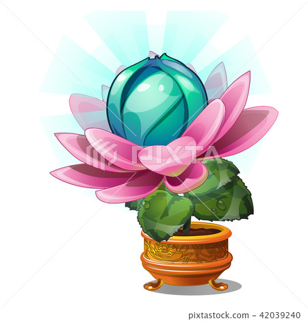 Blooming fantasy flower in the gold flower pot isolated on white background. Vector cartoon close-up Blooming fantasy flower in the gold flower pot isolated on white background. Vector cartoon close-up 42039240