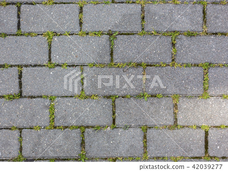 the grass grows through the concrete tile pattern texture background the grass grows through the concrete tile pattern texture background 42039277