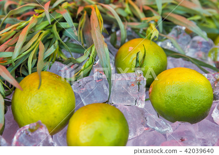 fresh whole limes closeup on ice cubes fresh whole limes closeup on ice cubes 42039640