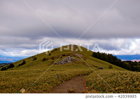 Fujimidai高原2在秋天2 42039985