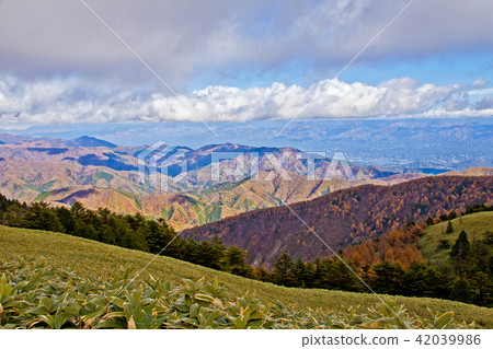 Fujimidai高原在秋天3 42039986